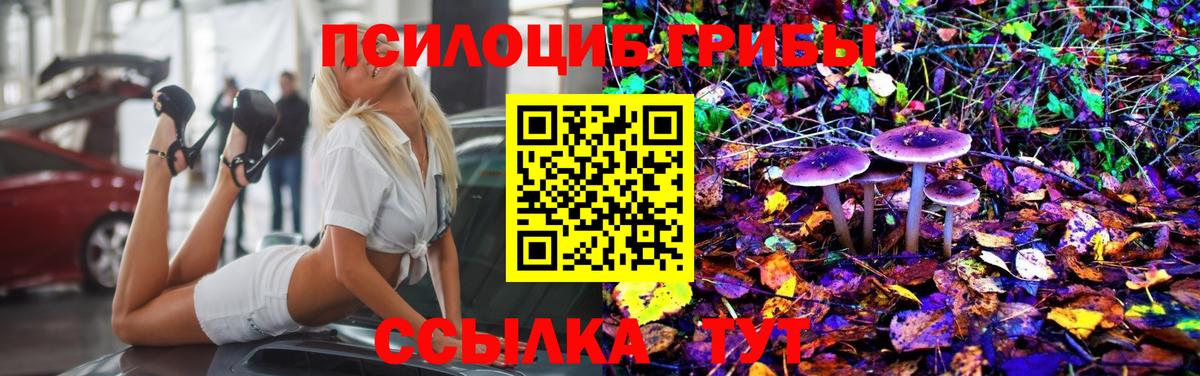 Псилоцибиновые грибы Psilocybe  Вход с VPN  Калач-на-Дону 
